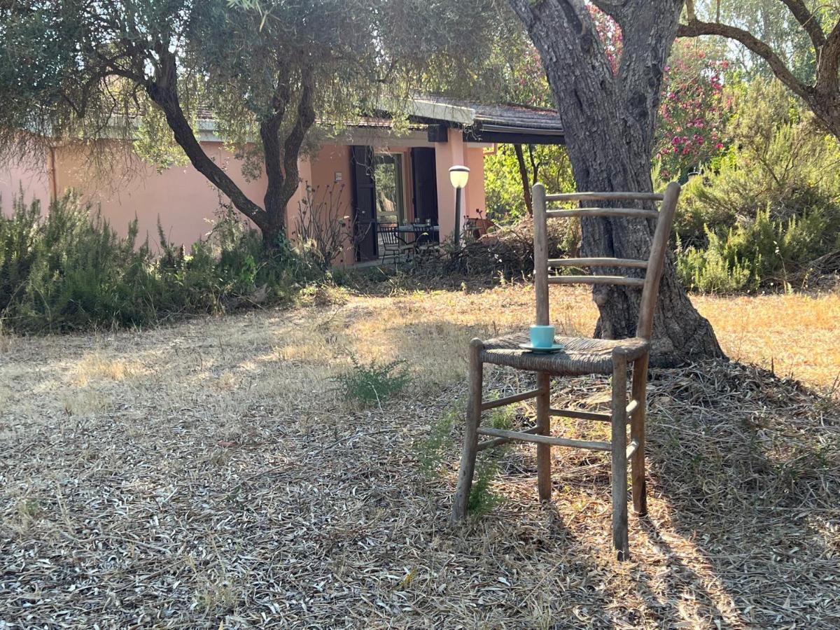 Villa Casa Rosmarino San Giovanni  Esterno foto